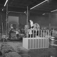 FTA001005119 013 con.png