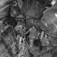 FTA001005196 024 con.png