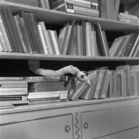 FTA001000012 005 con.png