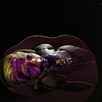 FTA001037017 005 con.png