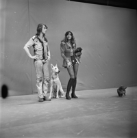 FTA001016413 015 con.png