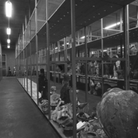 FTA001016344 001 con.png