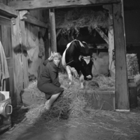 FTA001005984 017 con.png