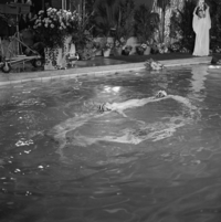 FTA001024683 003 con.png