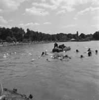 FTA001031751 008 con.png