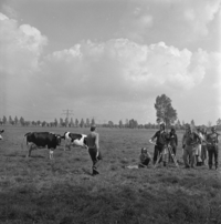 FTA001019819 001 con.png