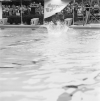 FTA001023277 024 con.png