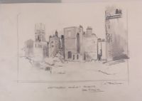 54-8-17 VARA De cel 1.JPG