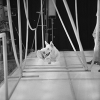 FTA001016413 006 con.png