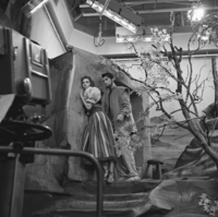 FTA001005196 008 con.png