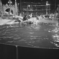 FTA001013838 002 con.png