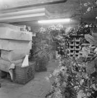 FTA001016350 016 con.png