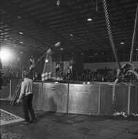 FTA001005227 018 con.png