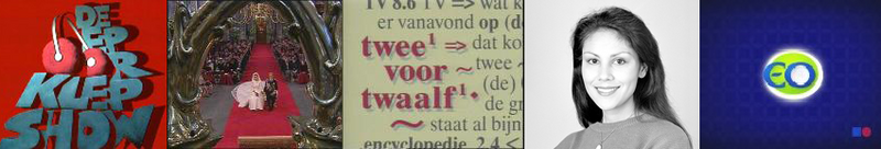 Bestand:Wiki header februari2012.png