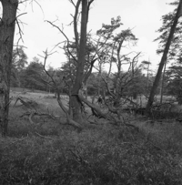 FTA001012346 007 con.png