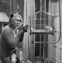 FTA001006085 007 con.png